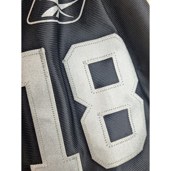 Reebok Stitched‎ Randy Moss  Oakland Raiders Vintage NFL Football Jersey XL - Picture 6 of 14
